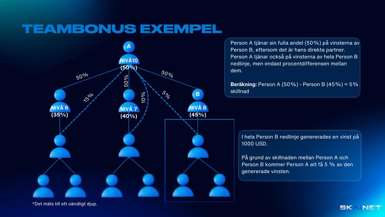 EXEMPEL PÅ LAGBONUS